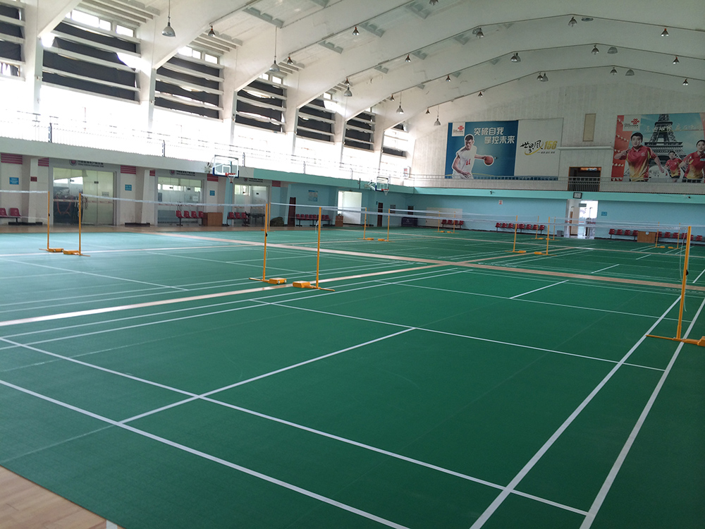 buy badminton court mat
